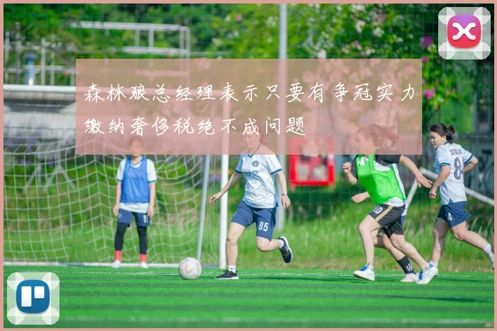 森林狼总经理表示只要有争冠实力缴纳奢侈税绝不成问题