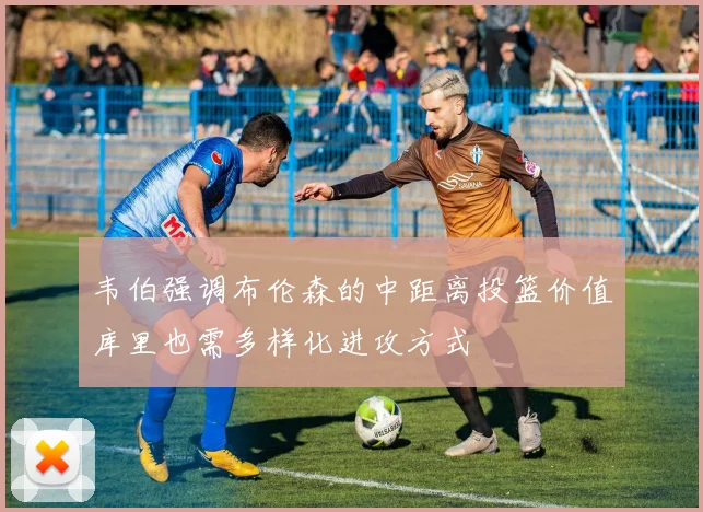 韦伯强调布伦森的中距离投篮价值库里也需多样化进攻方式