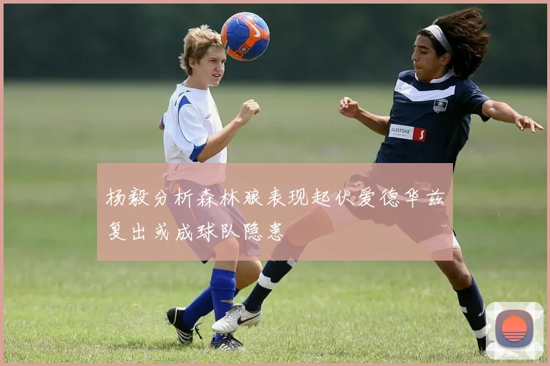 杨毅分析森林狼表现起伏爱德华兹复出或成球队隐患